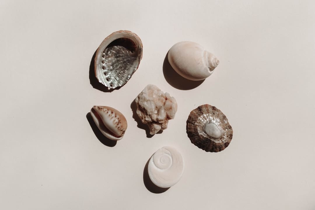 成都车展欧拉以浪漫致初心